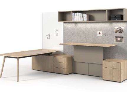 Management-X Desk Walter Knoll executive office desk in Dubai UAE