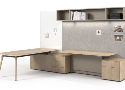 Management-X Desk Walter Knoll executive office desk in Dubai UAE