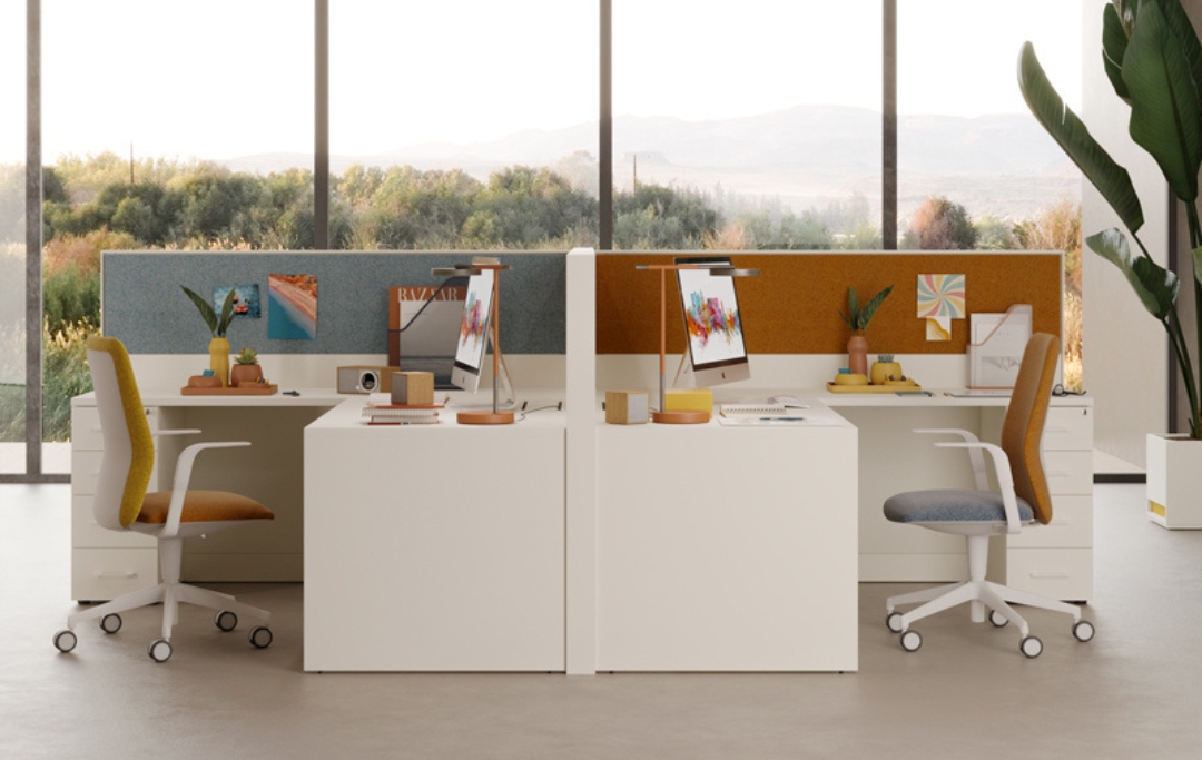 Zero_ProfOffice (3)